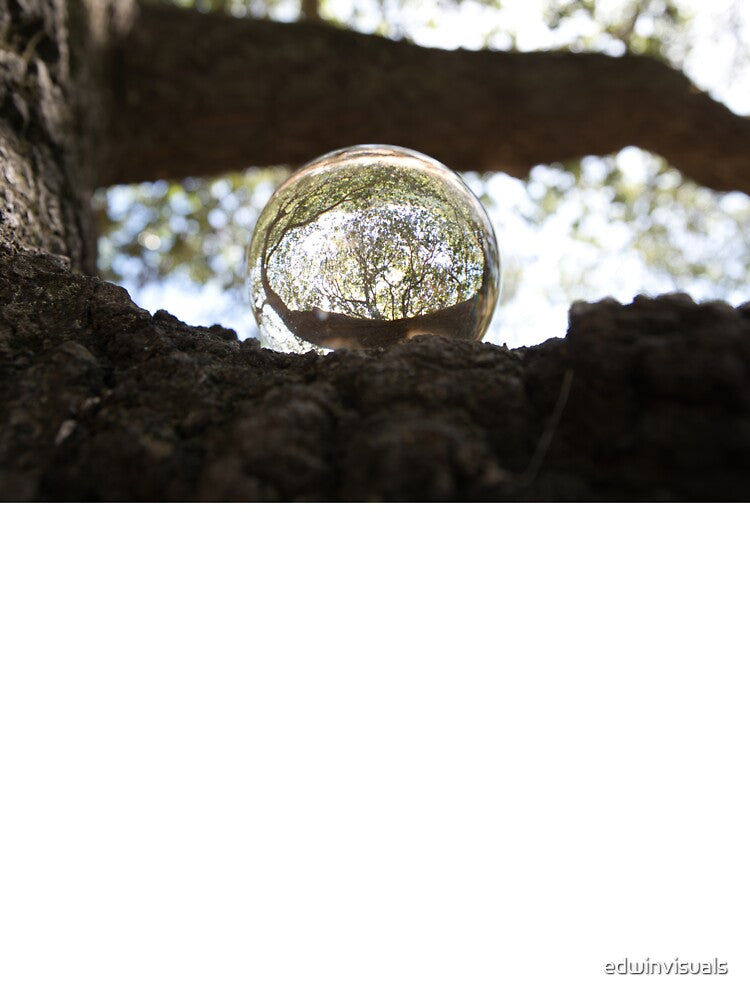 The Beauty Of Forest In A Crystal Ball by edwinvisuals