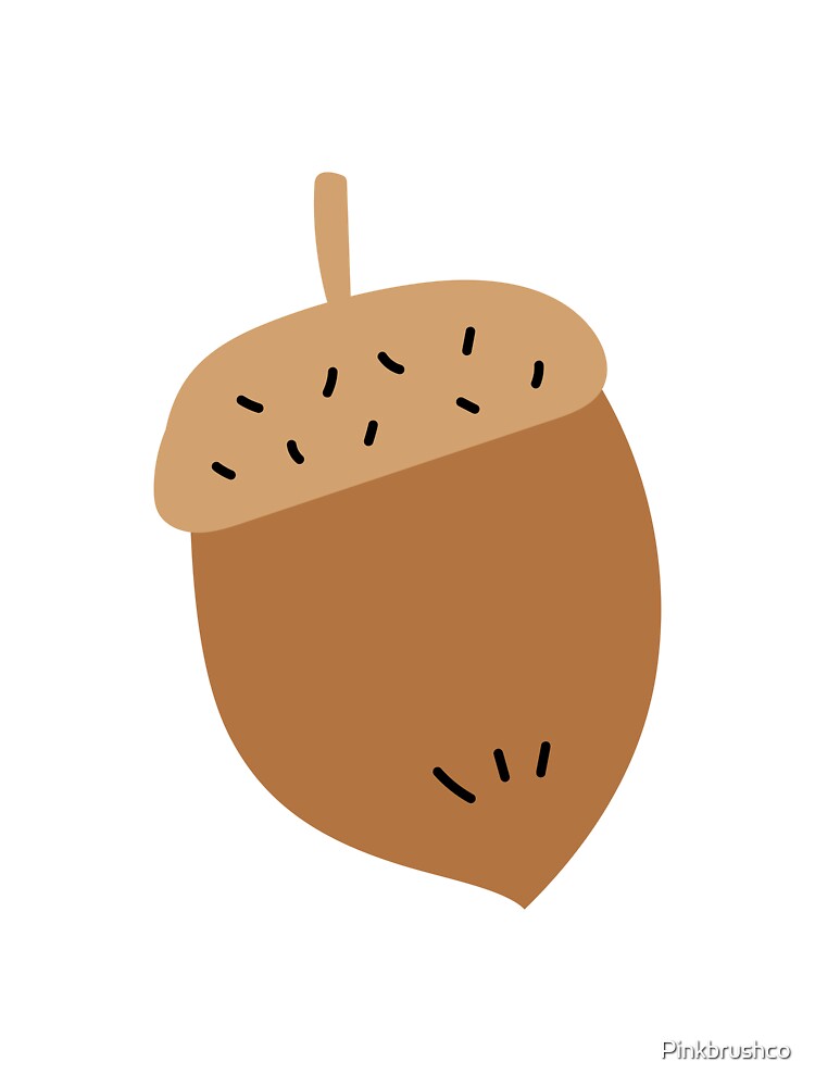 acorn illustration by Pinkbrushco