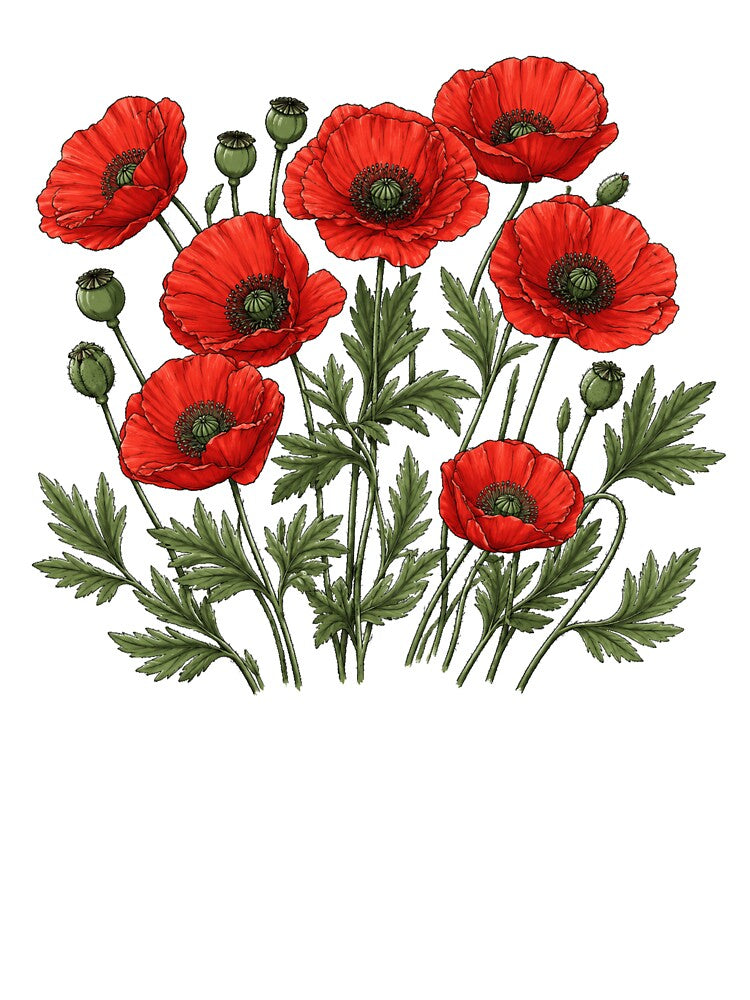 Red Poppy Botanical Floral Vintage by Moizento