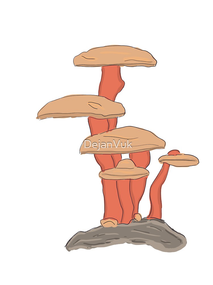 mushroom 1 by DejanVuk