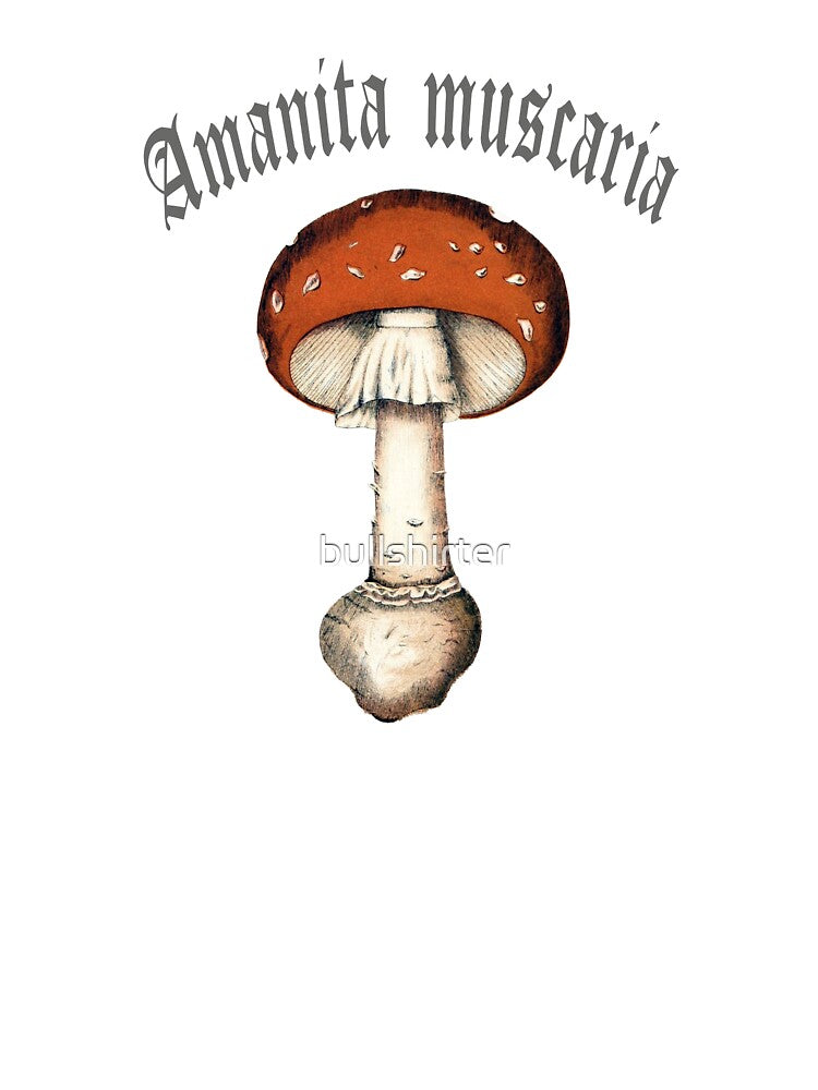 Fly agaric fairytale mushroom Amanita muscaria by bullshirter