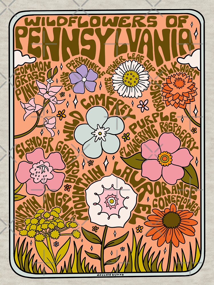 Pennsylvania Wildflowers by doodlebymeg