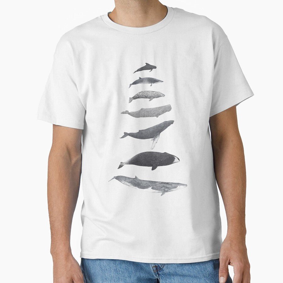 Whale Wildlife Animal Species Illustration by Lauren Fitton Illustration
