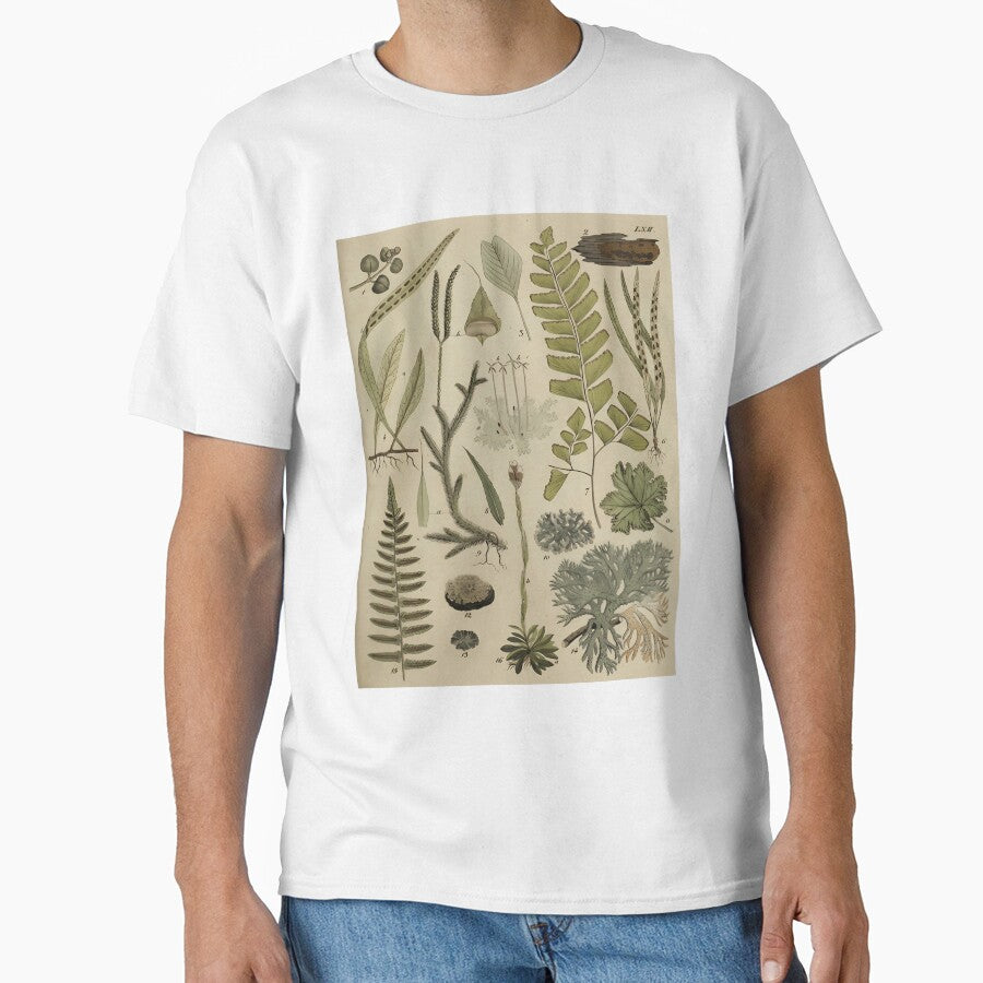 Vintage Ferns And Lichen Botanical Poster by cxjrusdkc4