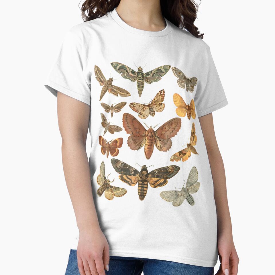 Vintage Moth Goblincore Dark Academia by fanzymukump