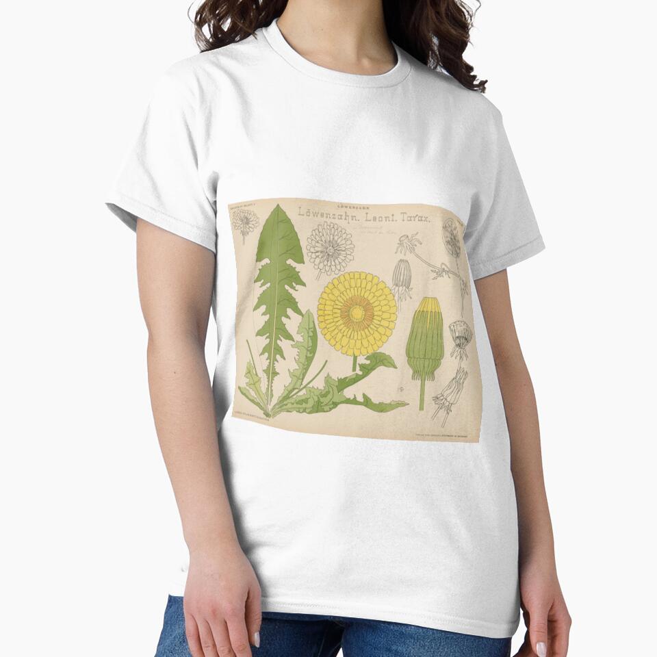Dandelion Botany Chart by BlueSpecsStudio