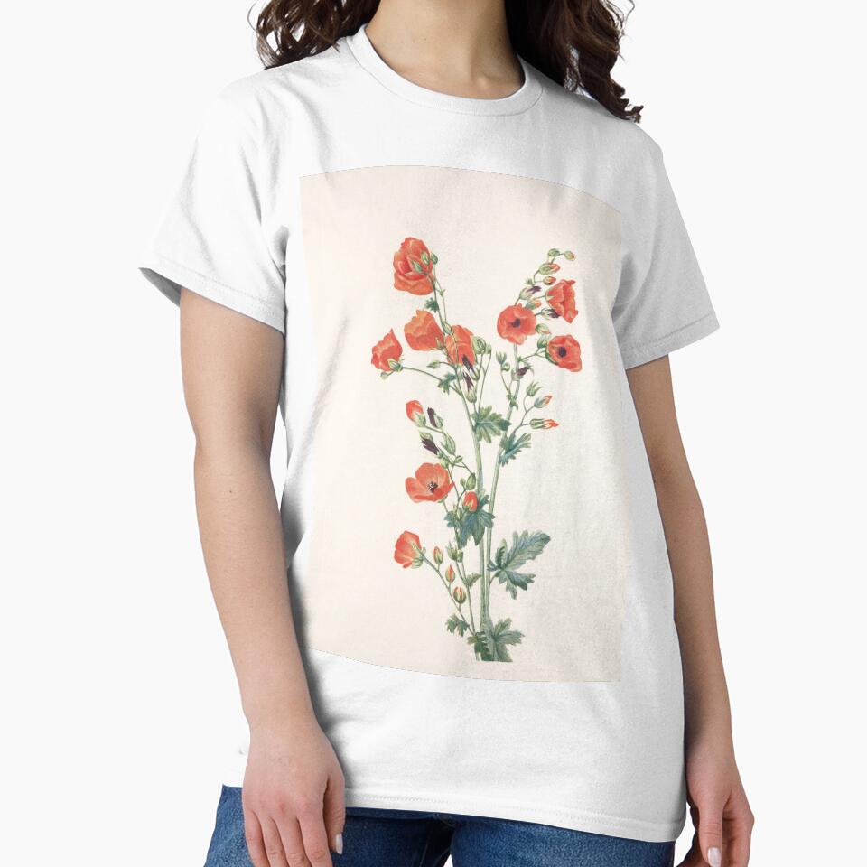 Scarlet Globe Mallow – Vintage Wildflower Illustration by Mary Vaux Walcott (1925) by EmeraldeaArt