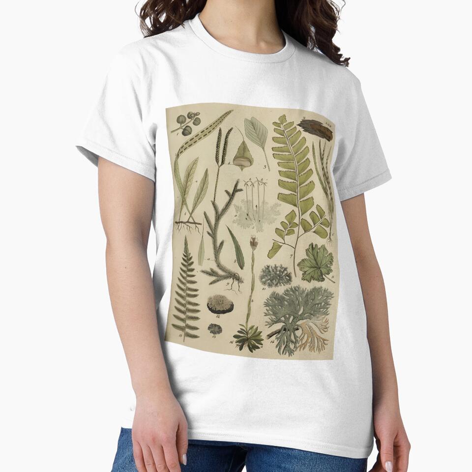 Vintage Ferns And Lichen Botanical Poster by cxjrusdkc4