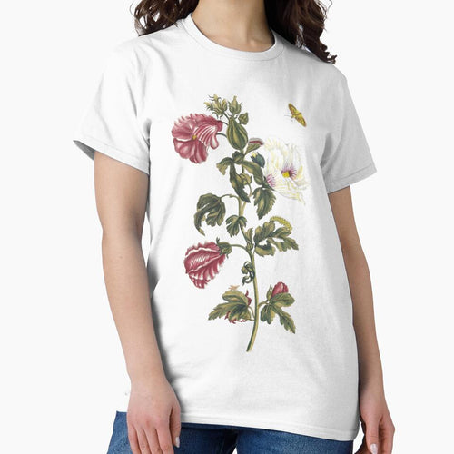 1705 Vintage German Floral Print: Althea by bellatierra