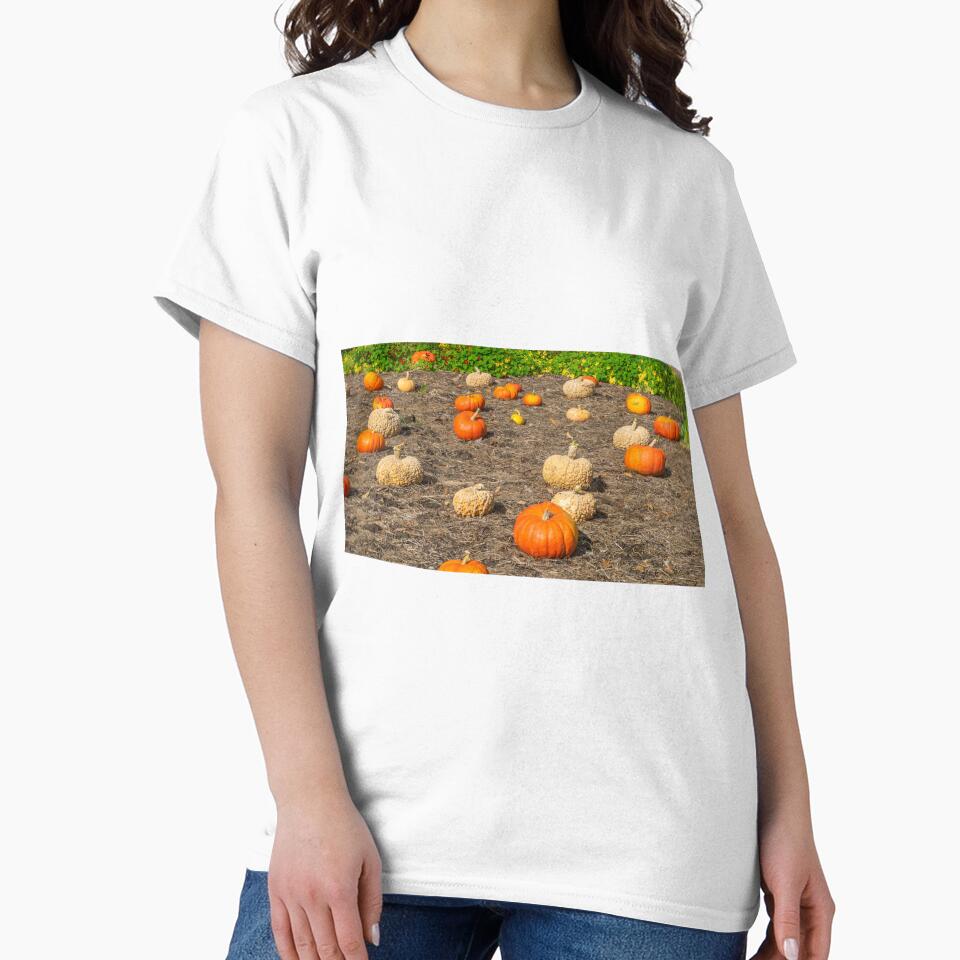 Pumpkin patch view by TDArtShop
