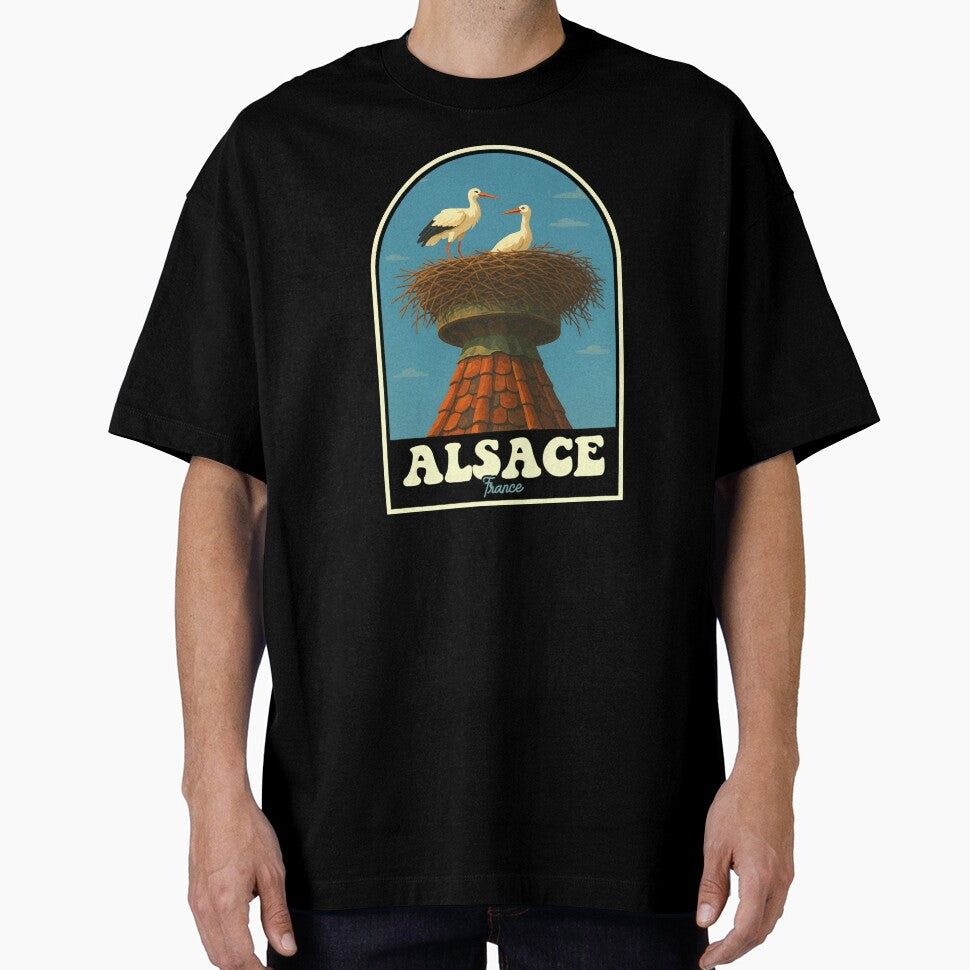 Alsace France Storks Vintage Travel Design by JackCurtis1991