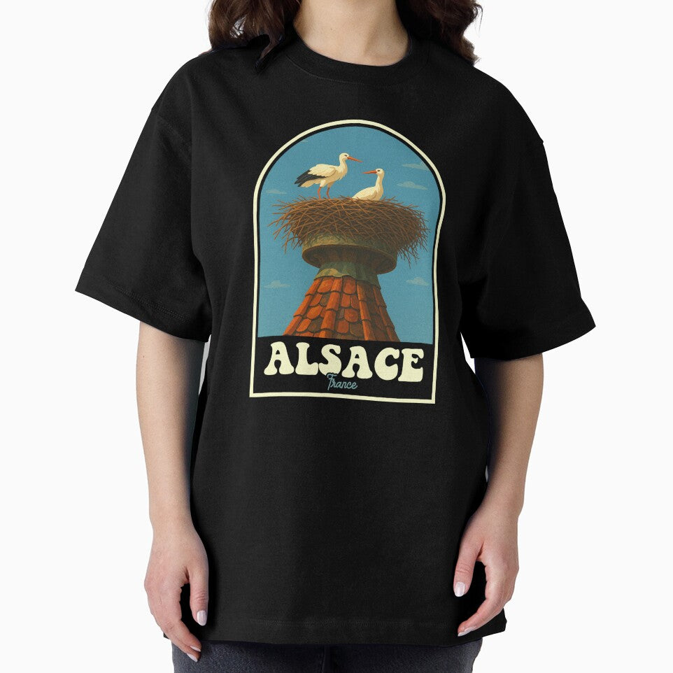 Alsace France Storks Vintage Travel Design by JackCurtis1991