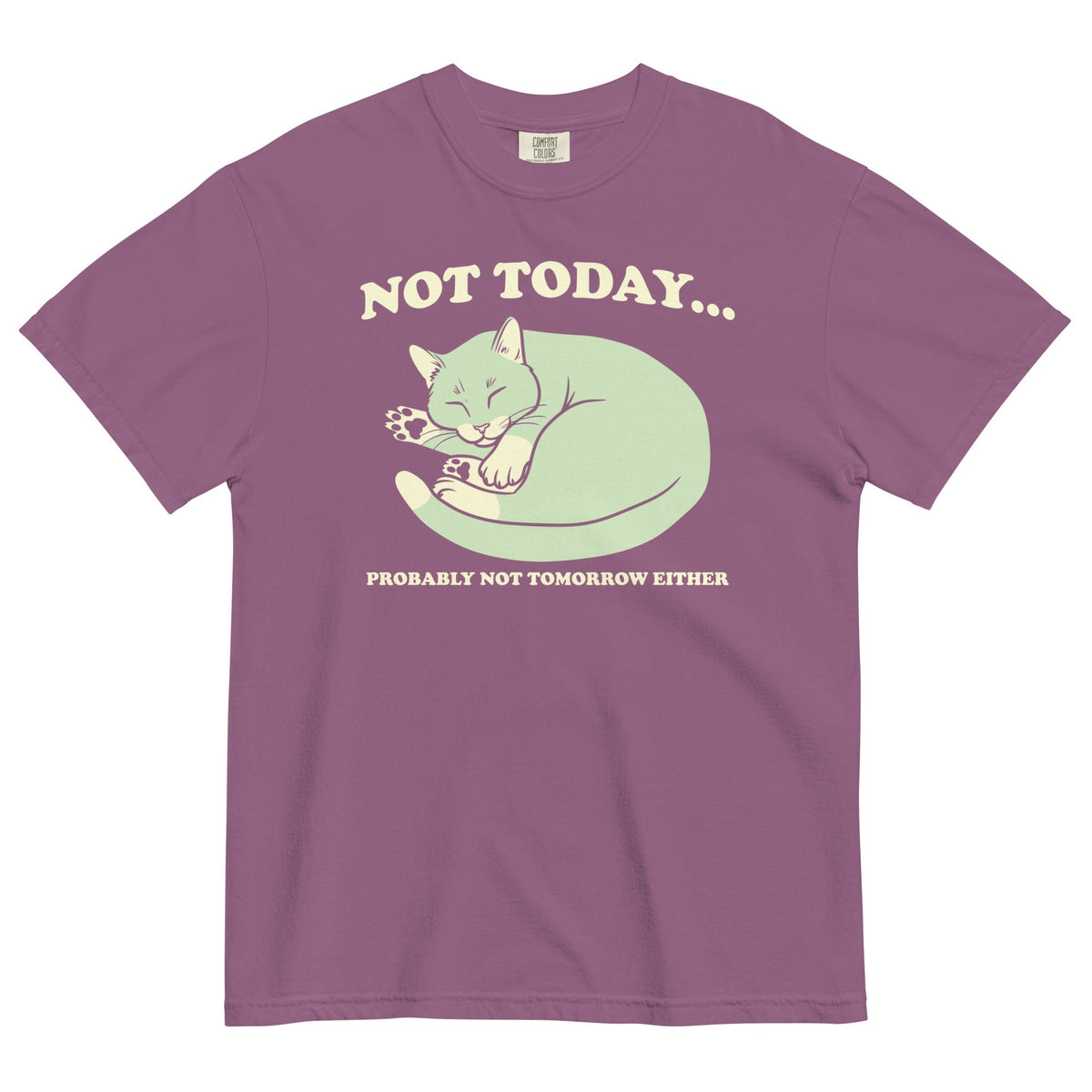 Not Today Probably Not Tomorrow Either Men's Relaxed Fit Tee