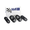 Sport Spring 96-01 Audi A4 Quattro (AWD) B5